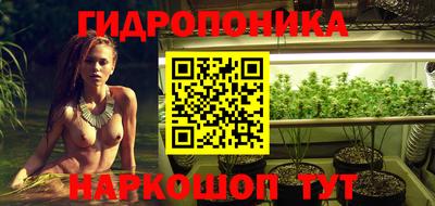 прущие крисы Донецк