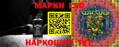крисы Дубна