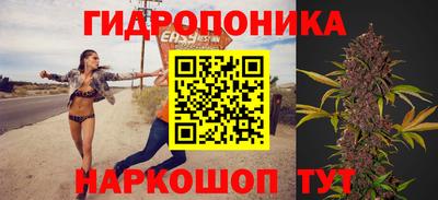 молекула духа Гусиноозёрск