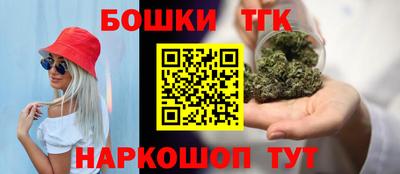крисы Дубна