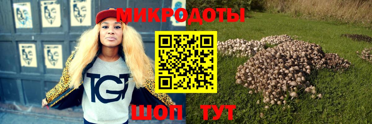 Псилоцибиновые грибы Psilocybe  где можно купить   Псилоцибиновые грибы Psilocybe  Озёры  Вход с VPN 